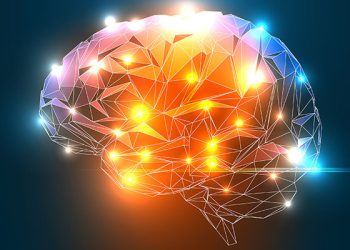 انیشتین شوید : بهترین روشها برای بهبود عملکرد مغز