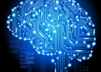 شباهت مغز انسان به رایانه