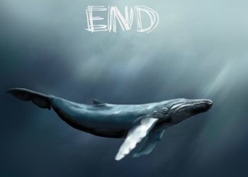 فرآیند خودکشی در بازی وال آبی